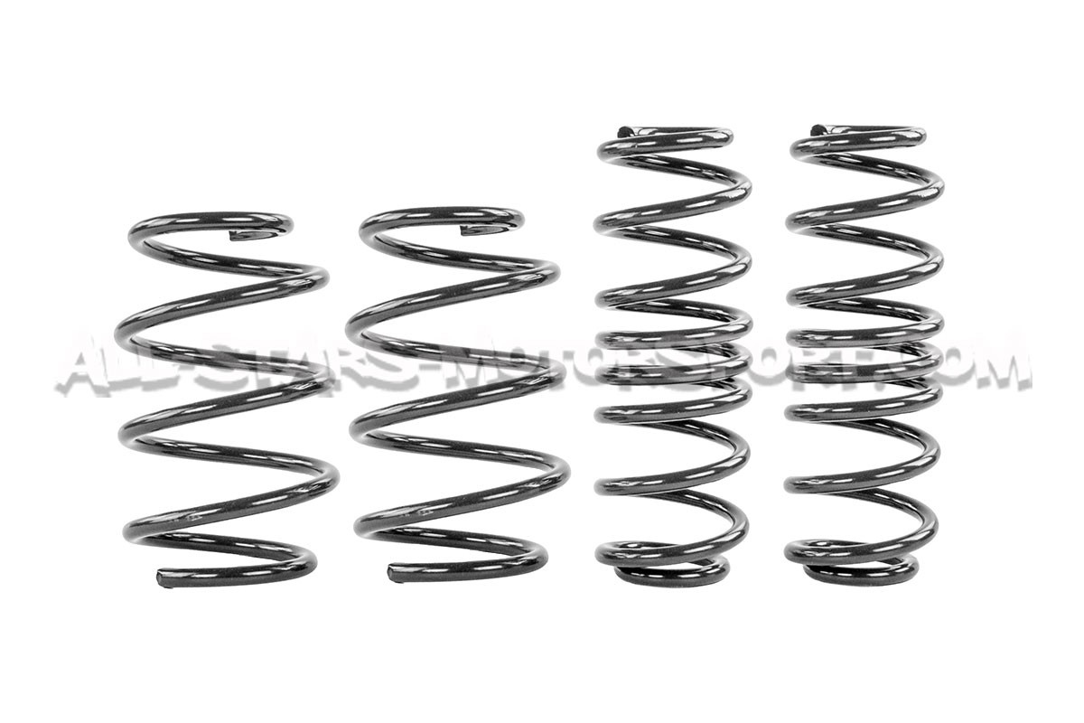 Muelles suspension Racingline para Skoda Octavia NX vRS