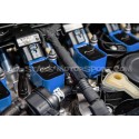 Bobines d'allumage Racingline bleues pour Audi RS3 8V.5 / 8Y / TTRS...