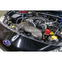 Toyota GT86 and Subaru BRZ Gruppe M Carbon Fiber Intake System