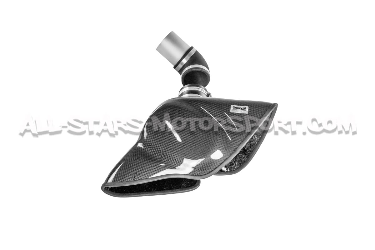 Admision de carbono Gruppe M para Golf 5 R32