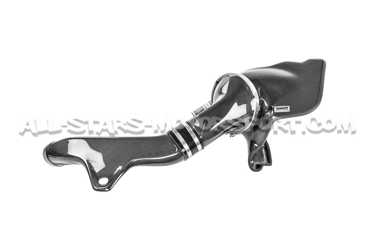 Admision de carbono Gruppe M para BMW 135i / 235i F2x