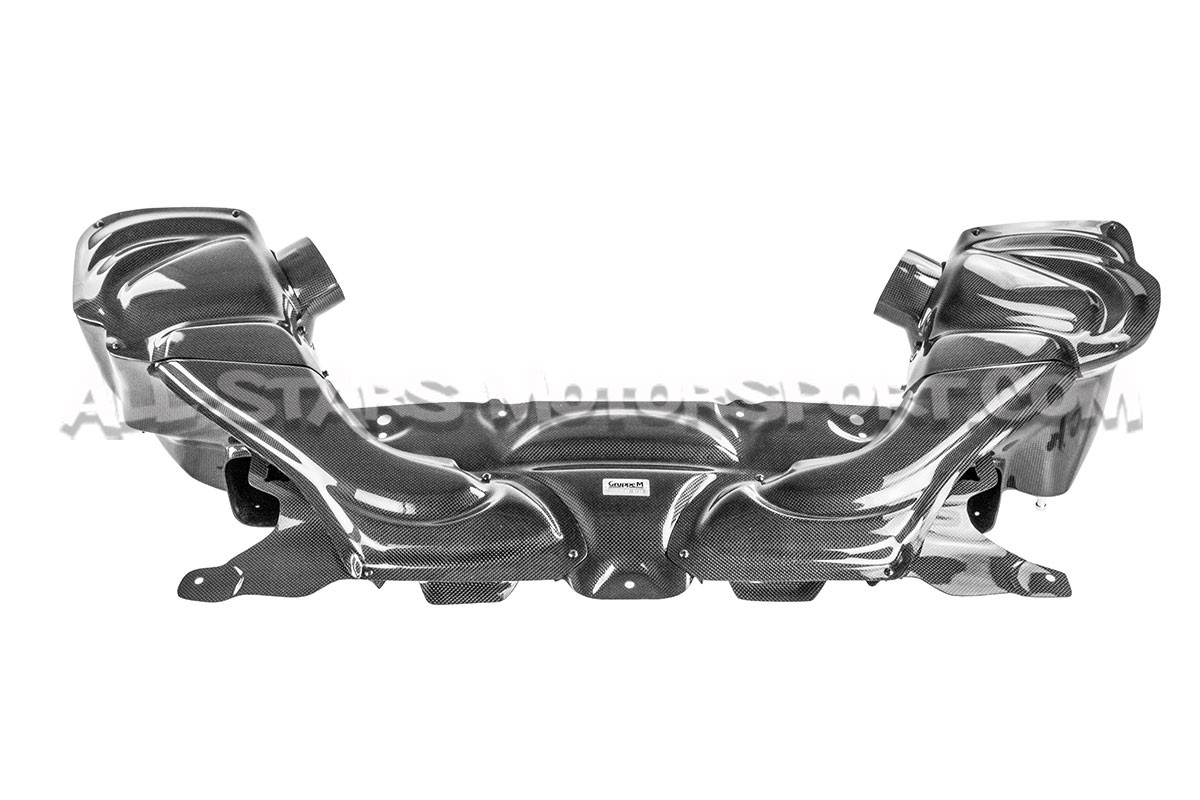 Admission carbone Gruppe M pour BMW M5 F90