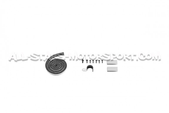 Admision de carbono Gruppe M para BMW M5 F90