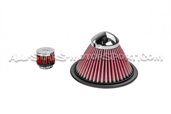 Audi TT 8N Quattro Gruppe M Carbon Fiber Intake System