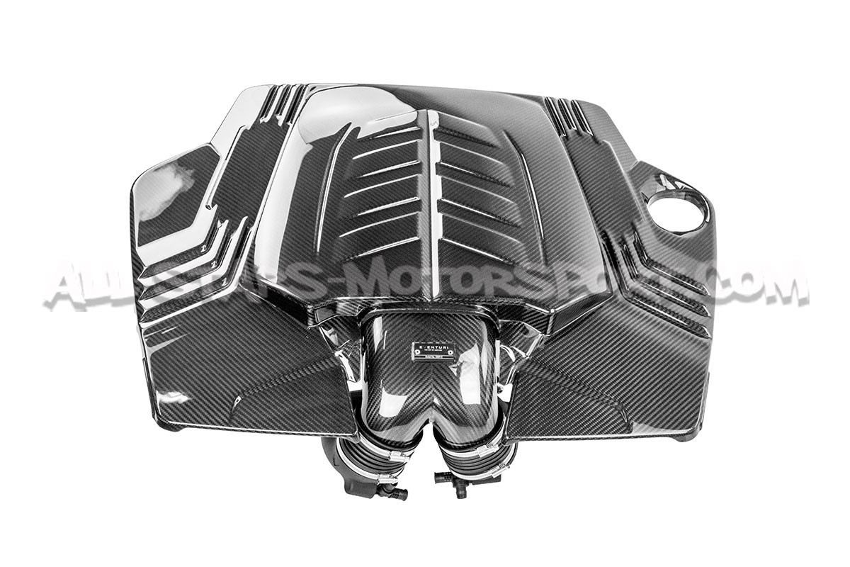 Admision de carbono Eventuri para Audi RSQ8 / Lamborghini Urus