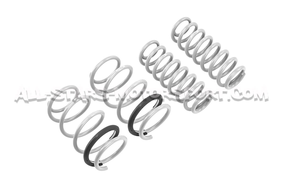 Muelles de suspension CTS Turbo -25mm para Golf 8 GTI