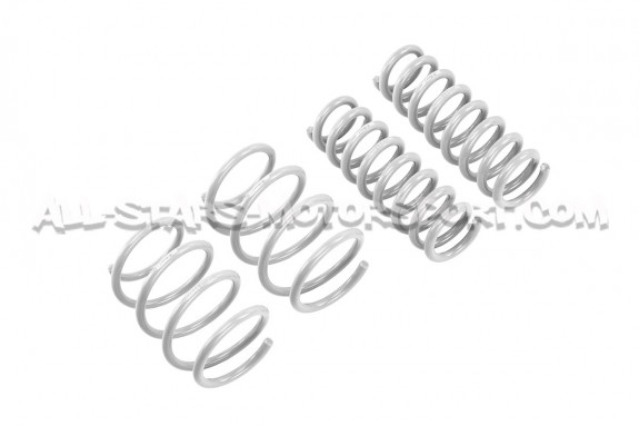 Muelles suspension CTS Turbo -40mm para BMW 335i / 340i / 435i / 44...