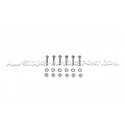 Downpipes decata Alpha Competition pour Audi RS4 B9 / RS5 F5 sans O...