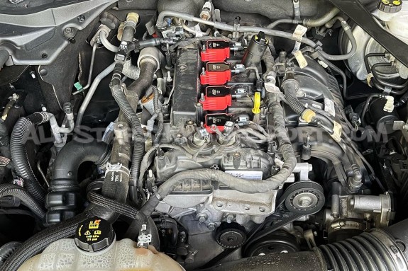 Ford Focus 3 RS / Mustang Ecoboost MSD Red Ignition Coils
