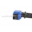 Bobinas de encendido MSD rojo para Ford Focus 3 RS / Mustang Ecoboost