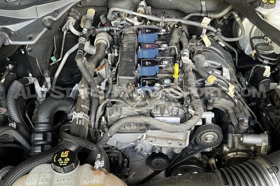 Bobines d'allumage MSD pour Ford Focus 3 RS / Mustang Ecoboost