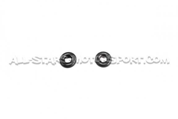 Deatschwerks DW200 / DW300 or DW420 fuel pump kit for Mitsubishi La...
