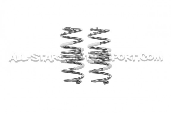 Honda Civic Type R FL5 Tanabe Funtoride -20mm Lowering Springs