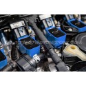Racingline Blue Ignition Coils for Audi S4 / RS4 B9 et S5 / RS5 F5 ...