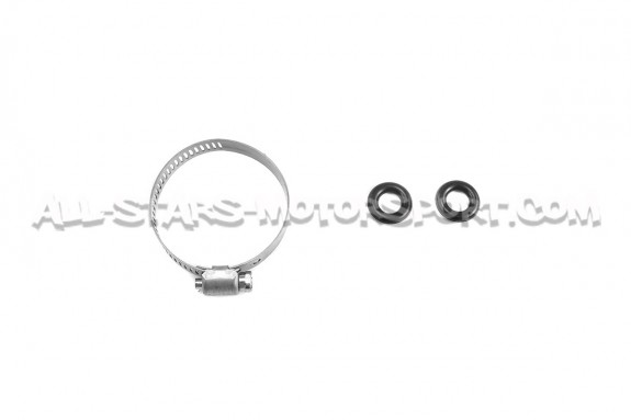 Deatschwerks DW65C / DW300C fuel pump kit for Ford Focus 2 RS