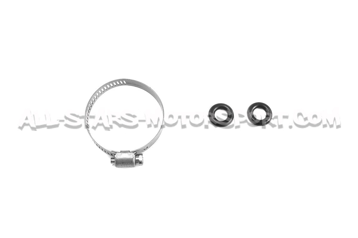 Deatschwerks DW65C / DW300C fuel pump kit for Ford Focus 2 RS