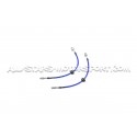 Latiguillos de freno metalicos Goodridge para BMW 240i G42