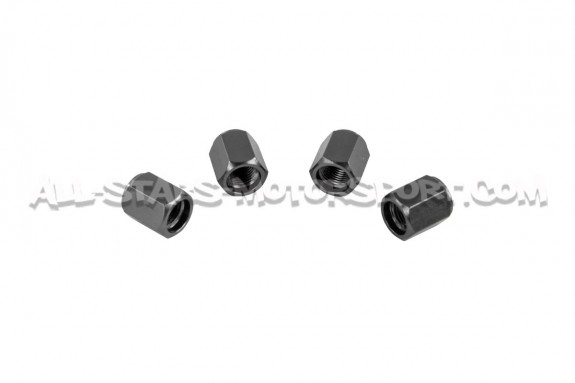 Dinan Valve Stem Caps Silver, Black or Gunmetal