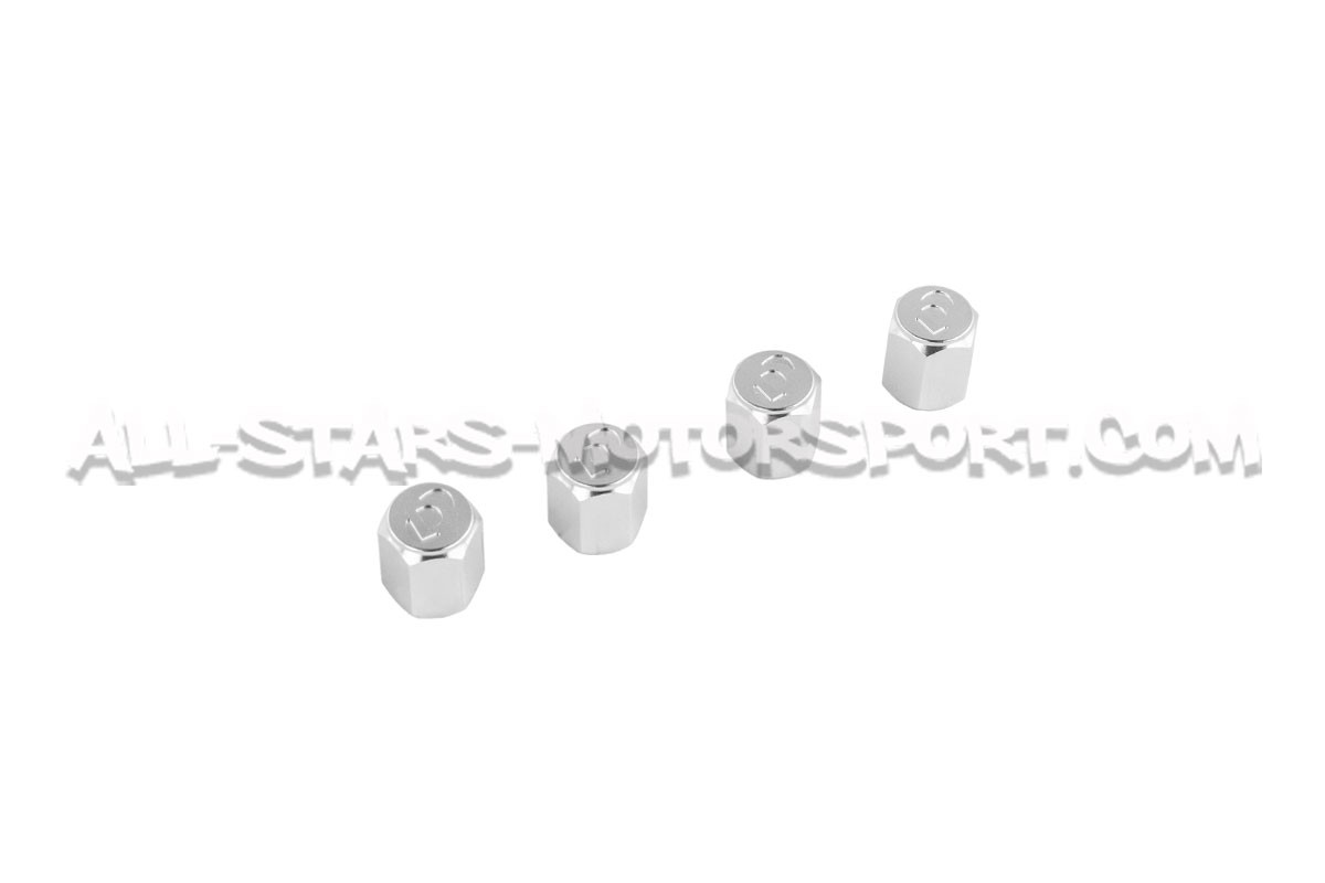 Bouchons de valves Dinan noir, argent ou gunmetal