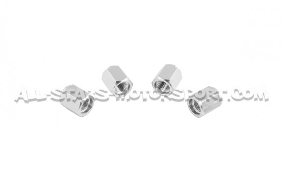 Bouchons de valves Dinan noir, argent ou gunmetal