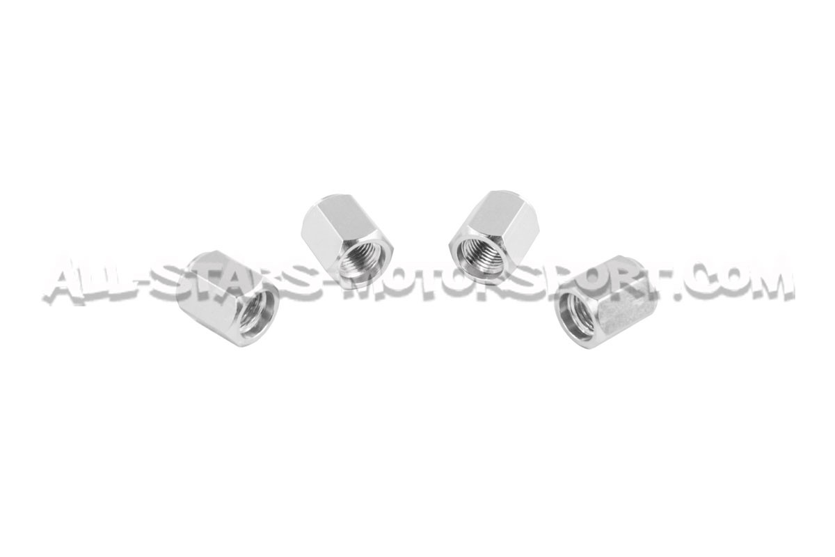 Bouchons de valves Dinan noir, argent ou gunmetal