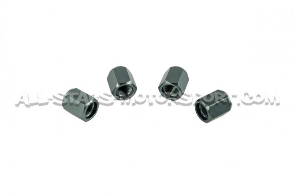 Tapones de valvulas de llantas Dinan negro, plata o gunmetal
