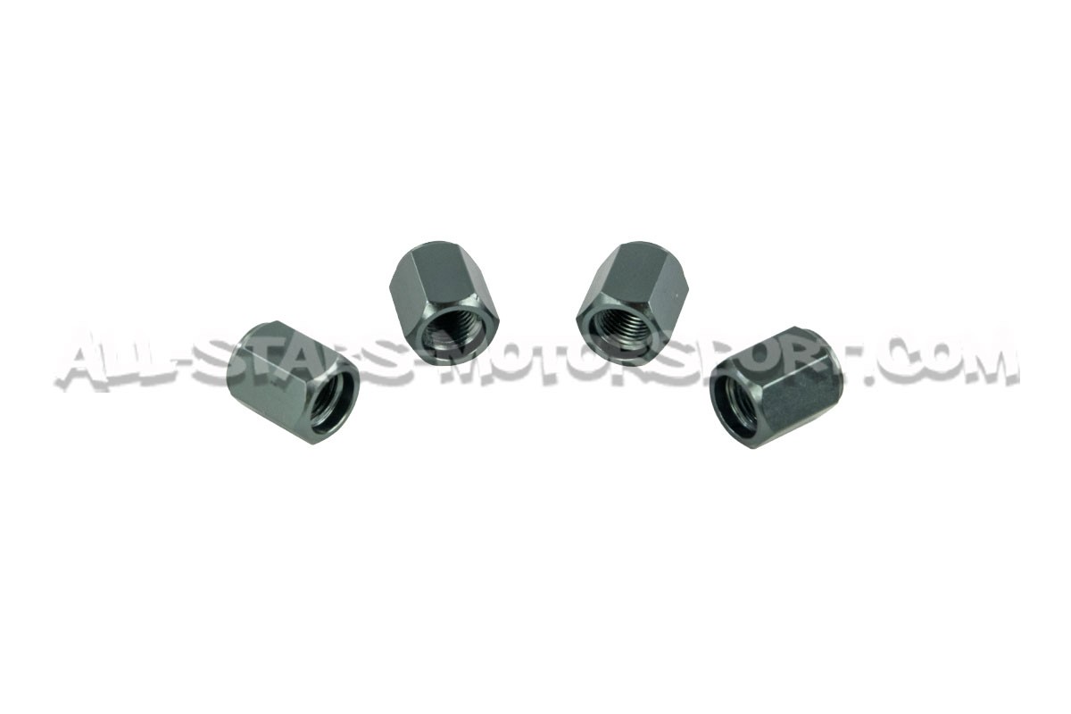 Bouchons de valves Dinan noir, argent ou gunmetal
