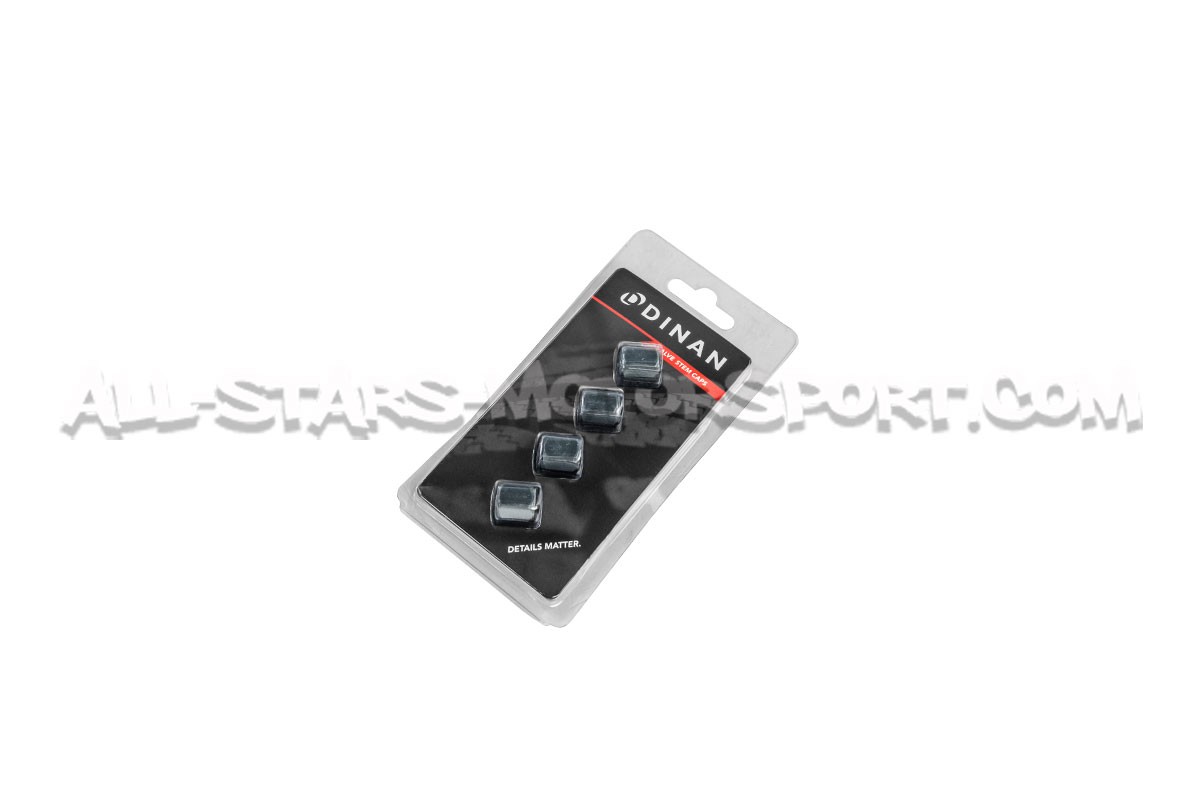 Bouchons de valves Dinan noir, argent ou gunmetal