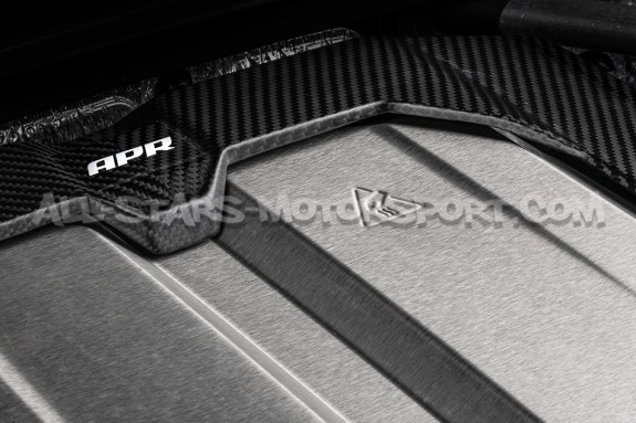 Audi RS6 C8 / RS7 C8 APR Carbon Fiber Engine Cover