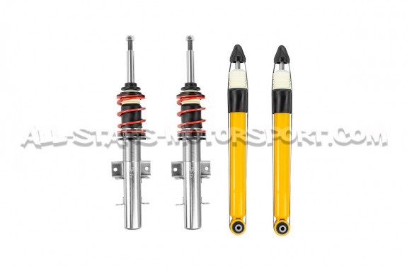 Polo 9N GTI V-MAXX Coilover Kit