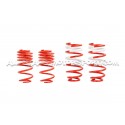 Suspension roscada V-MAXX para Polo AW GTI