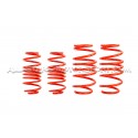 Suzuki Swift Sport ZC33S -30mm V-MAXX Lowering Springs