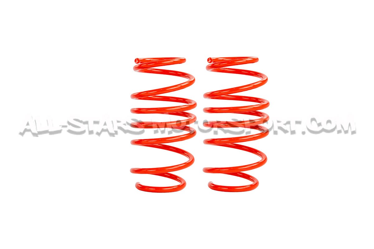 Suzuki Swift Sport ZC33S -30mm V-MAXX Lowering Springs
