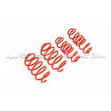 Ressorts courts V-MAXX -30mm pour Peugeot 208 GTI