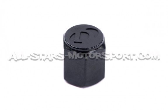 Bouchons de valves Dinan noir, argent ou gunmetal