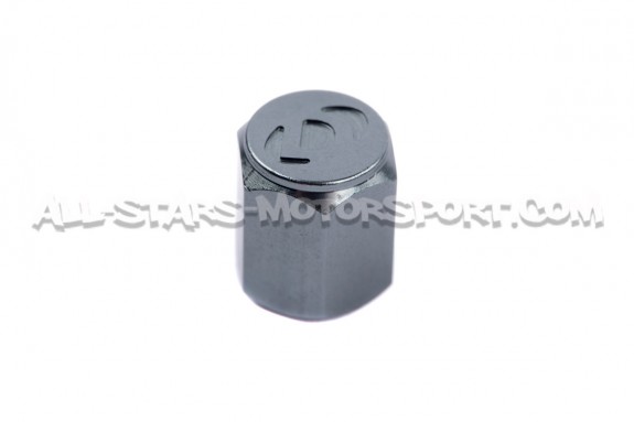 Bouchons de valves Dinan noir, argent ou gunmetal