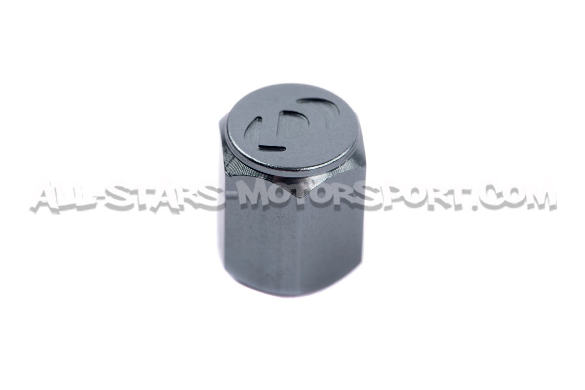 Bouchons de valves Dinan noir, argent ou gunmetal