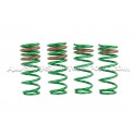 Muelles de suspension -25mm Tein S-Tech para Honda S2000