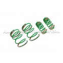 Honda Civic Type R EP3 Tein S-Tech -25mm Lowering Springs