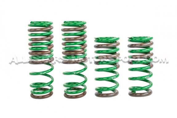 Ressorts courts -25mm Tein S-Tech pour Nissan R35 GTR