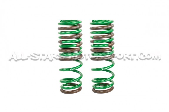 Nissan R35 GTR Tein S-Tech -25mm Lowering Springs