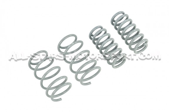 Muelles de suspension CTS Turbo -20mm para Golf 8 R