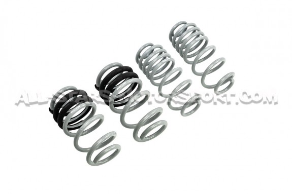 Muelles de suspension CTS Turbo -50mm para Audi A4 / S4 B8