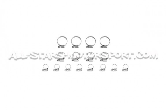 2.0 TFSI EA113 Alpha Competition Silicone Coolant Hose Kit