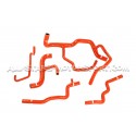 Mangueras de enfriamiento de silicona Forge para Renault Clio 3 RS