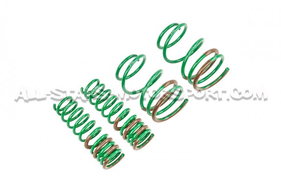 Mitsubishi Lancer Evo 10 Tein S-Tech -35mm Lowering Springs