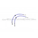 Flexibles de frein aviation Goodridge pour Hyundai I20N