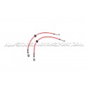 Latiguillos de freno metalicos Goodridge para Hyundai I20N