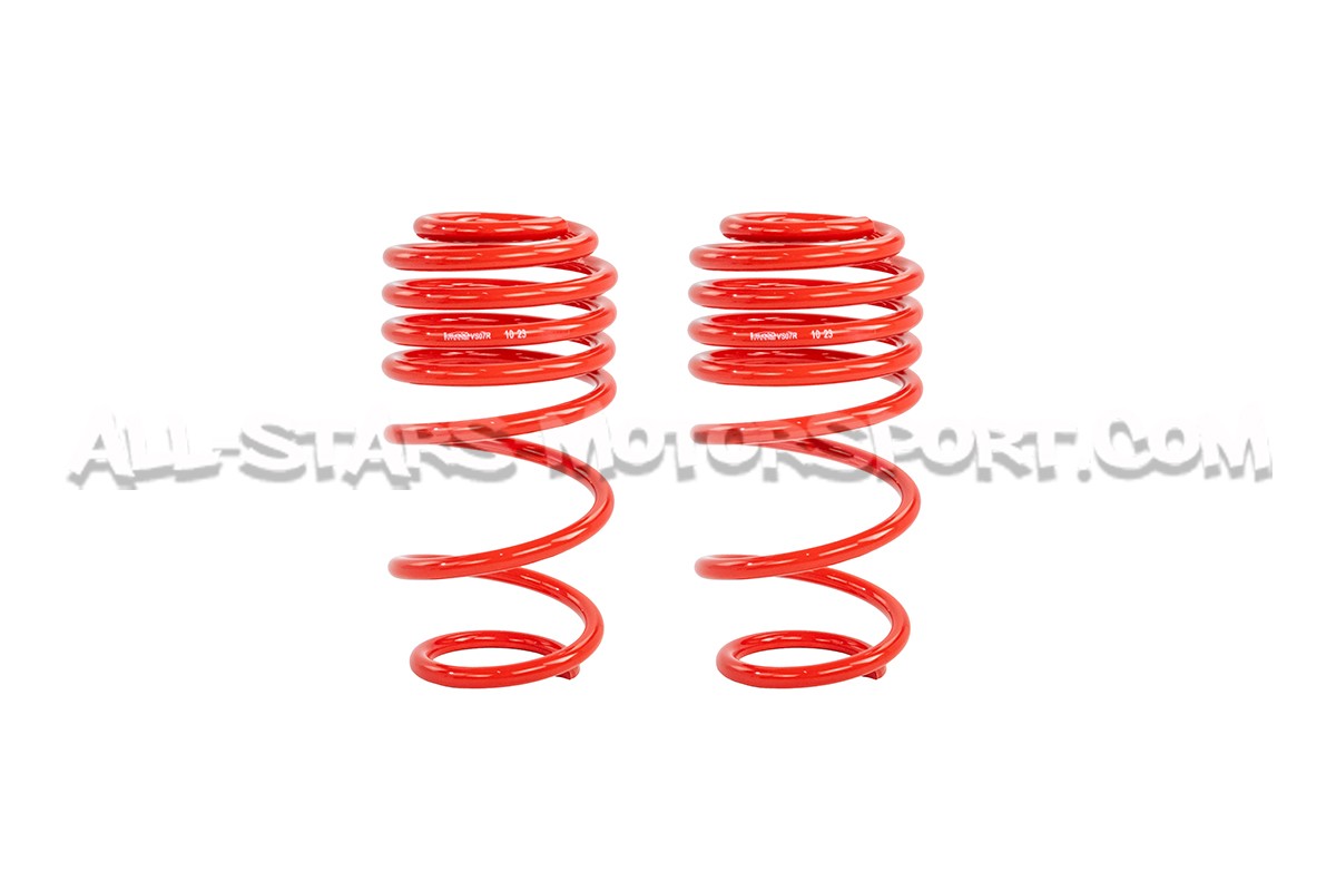 Suspension roscada V-MAXX para Polo 6R GTI / Polo 6C GTI / Ibiza 6J...