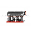 Collecteur d'admission carbone PracWorks pour Honda S2000